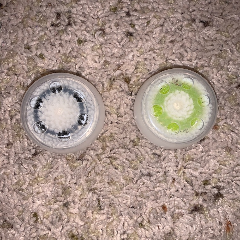 Clarisonic brush heads